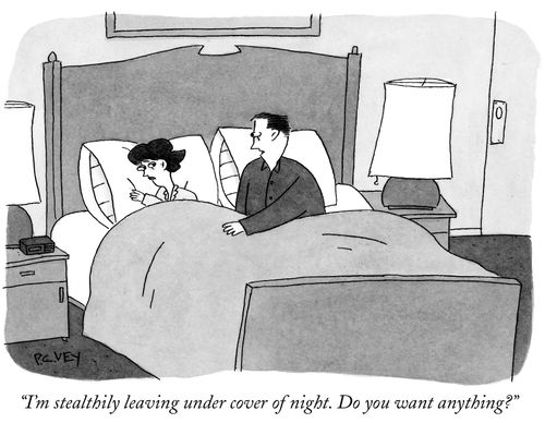 "I'm stealthily leaving under cover of night. Do you want anything?"