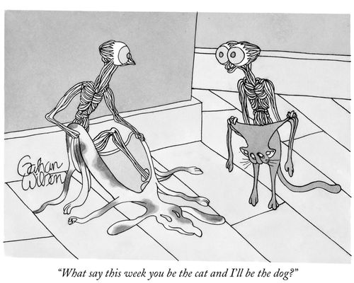 "What say this week you be the cat and I'll be the dog?"