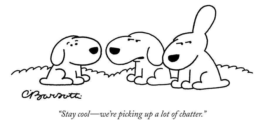 "Stay cool -  we're picking up a lot of chatter."