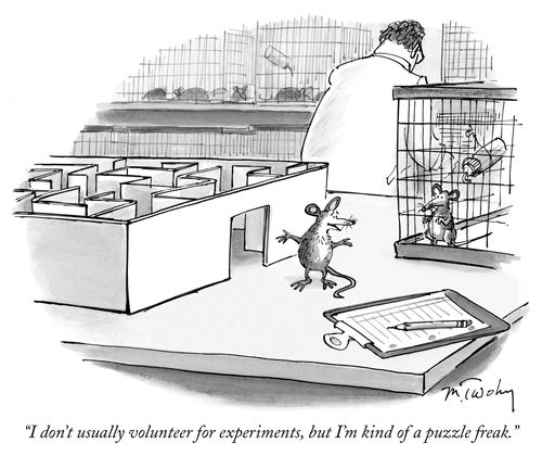 "I don't usually volunteer for experiments, but I'm kind of a puzzle freak."