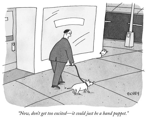 "Now, don't get too excited – it could just be a hand puppet."