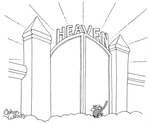 Heaven