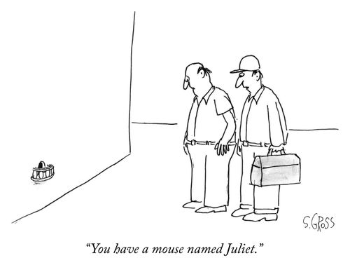 "You have a mouse named Juliet."