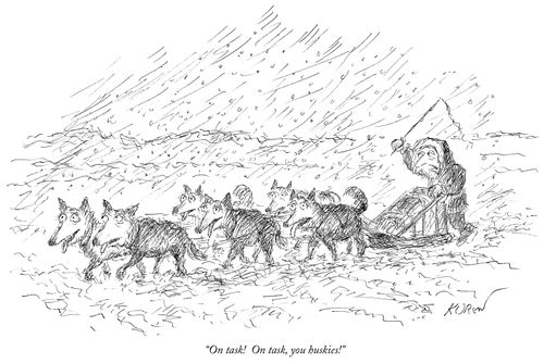 "On task! On task, you huskies!"