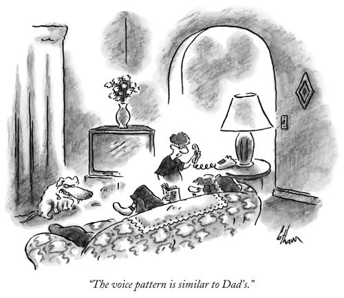 "The voice pattern is similar to Dad's."