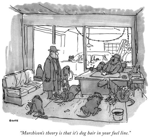 "Murchison’s theory is that it’s dog hair in your fuel line.” 