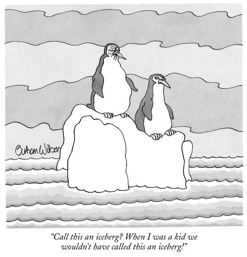 "Call this an iceberg? When I was a kid we wouldn't have called this an iceburg!"