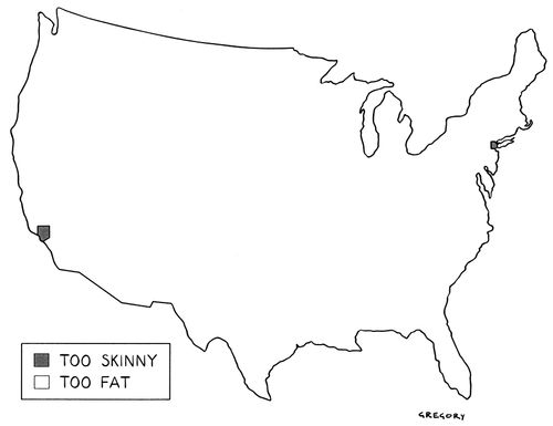 Too Skinny, Too Fat