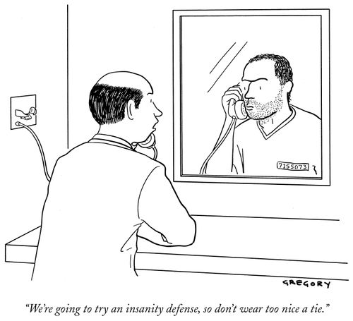 "We're going to try an insanity defense, so don;t wear to nice a tie."
