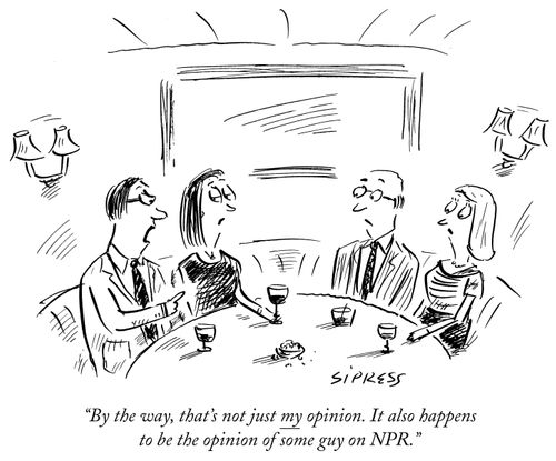 "That's not just my opinion. It also happens to be the opinion of some guy on NPR."