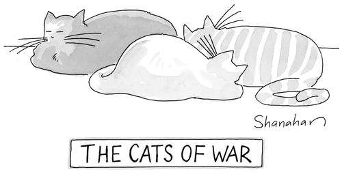 The cats of war