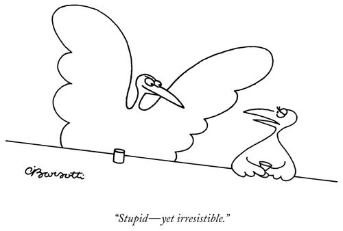 "Stupid – yet irresistible."