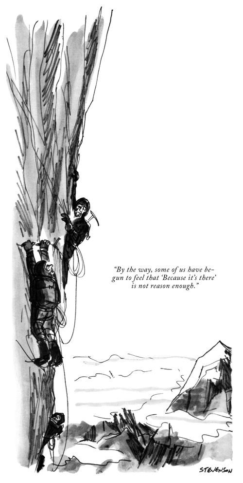"By the way, some of us have begun to feel that 'Because it's there' is not reason enough."