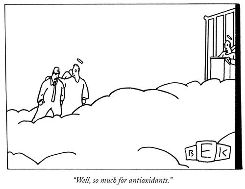 "Well, so much for antioxidants."