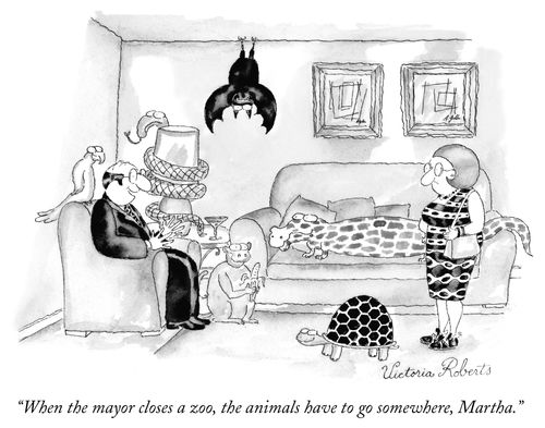 "When the mayor closes a zoo, the animals have to go somewhere, Martha."