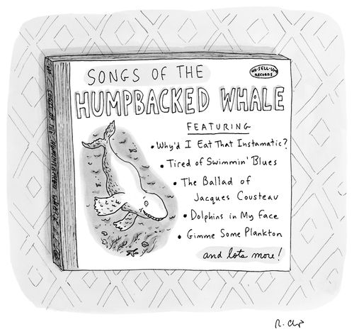 Songs of the humpbacked whale