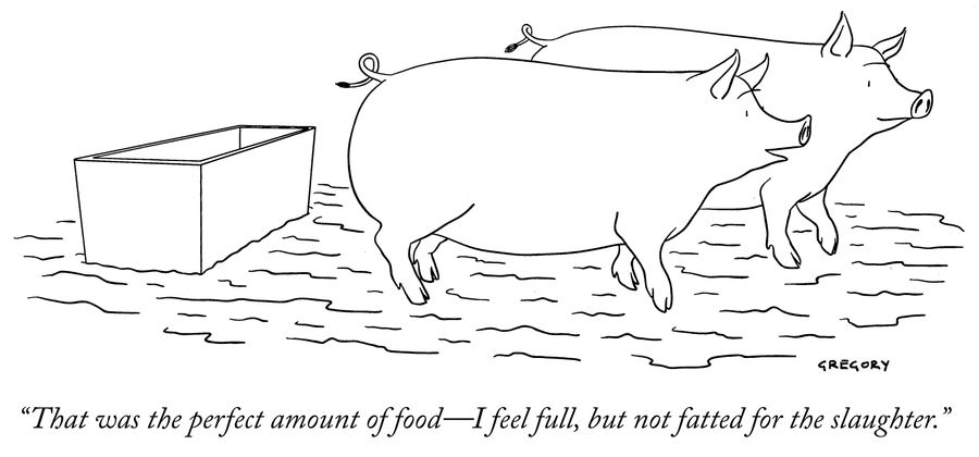 "That was the perfect amount of food – I feel full, but not fatted for the slaughter." 