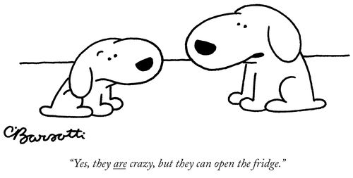 "Yes, the are crazy, but they can open the fridge."