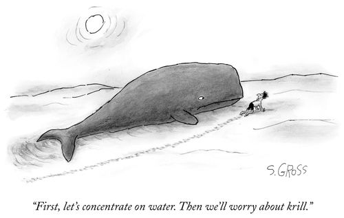 "First, let's concentrate on water. Then we'll worry about krill."
