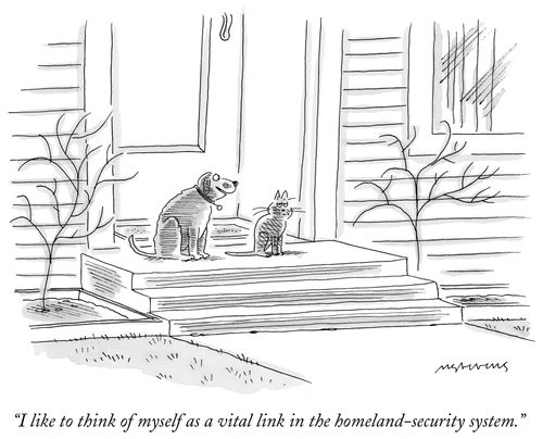 "I like to think of myself as a vital link in the homeland-security system."