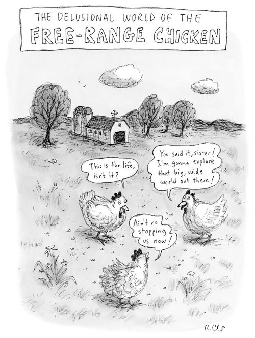 The Delusional World of the Free-Range Chicken