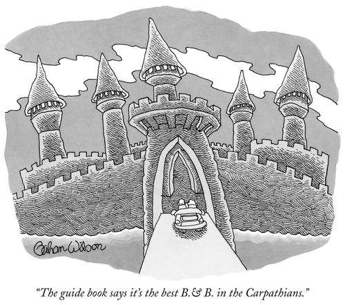 "The guide book sys it's the best B.&B. in the Carpathians."