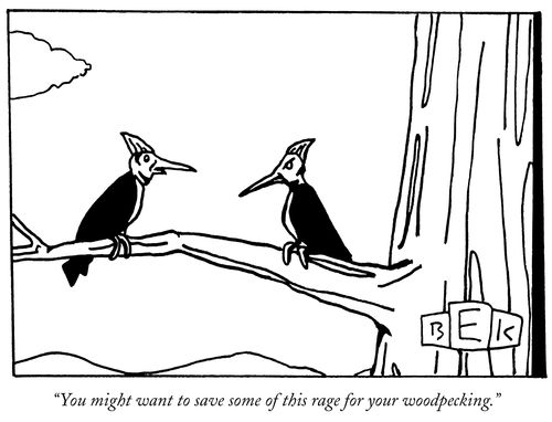 "You might want to save some of this rage for your woodpecking."