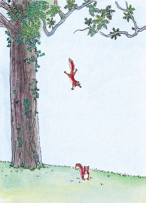 Flying squirrel.