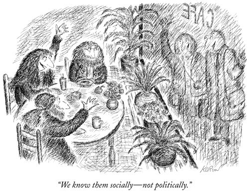 "We know them socially - not politically."