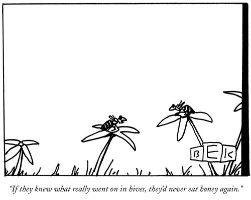 "If they knew what really went on in hives, they'd never eat honey again."