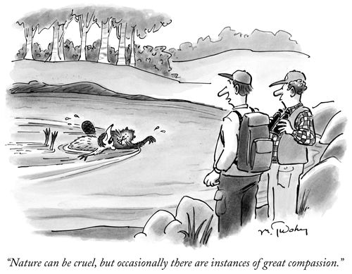 "Nature can be cruel, but occasionally there are instances of great compassion."