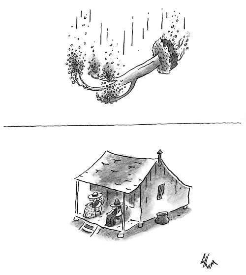 A tree falls towards a house