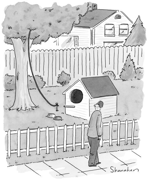 A dog house for a bird