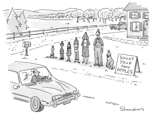 Shoot your own apples