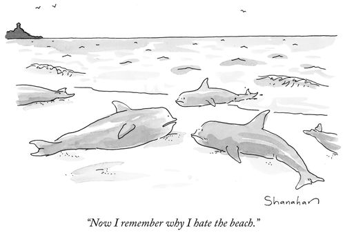 "Now I remember why I hate this beach."