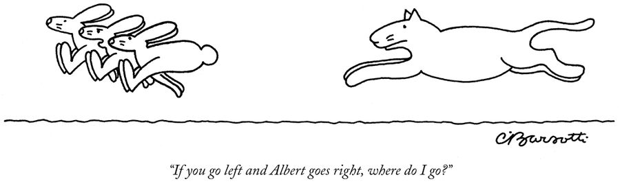 "If you go left and Albert goes right, where do I go?"