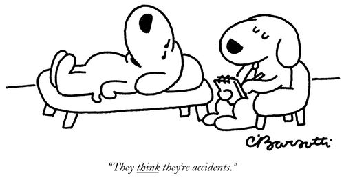 "They think they're accidents."
