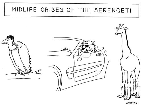 Midlife crises of the Serengeti
