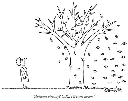 "Autumn already? O.K., I'll come down."