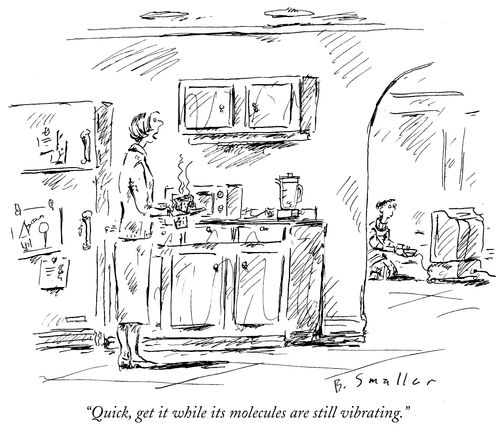 "Quick, get it while its molecules are still vibrating."