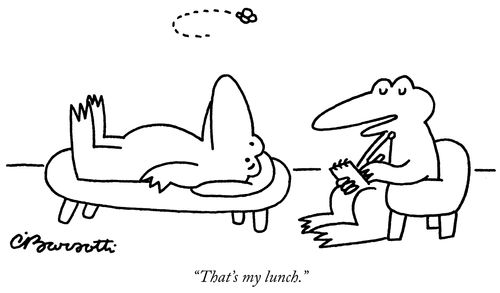 "That's my lunch."