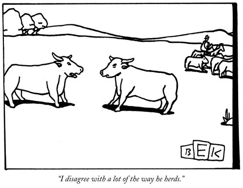 "I disagree with a lot of the way he herds."