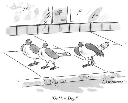 "Goddam Dogs."