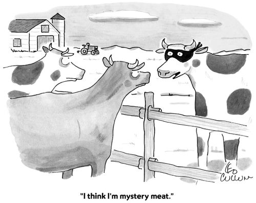 "I think I'm mystery meat."