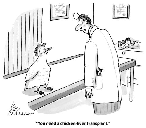 "You need a chicken-liver transplant."