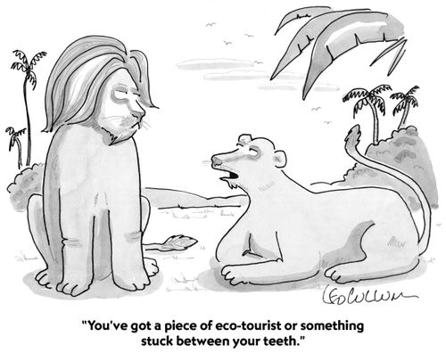 "You've got a piece of eco-tourist or something stuck between your teeth."