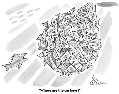"Where are the car keys?"