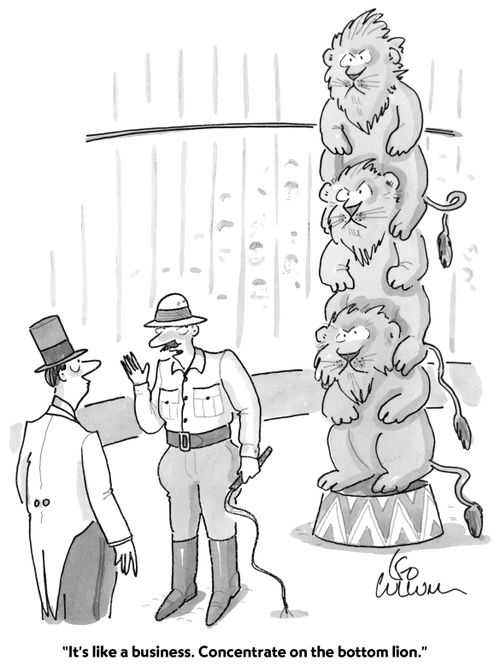 "It's like a business. Concentrate on the bottom lion."