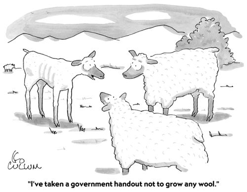 "I've take a government handout not to grow any wool."