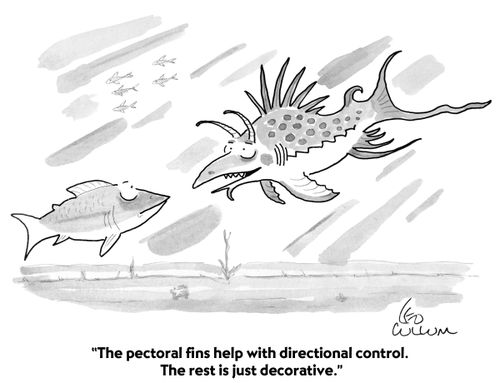 "The pectoral fins help with directional control. The rest is just decorative."